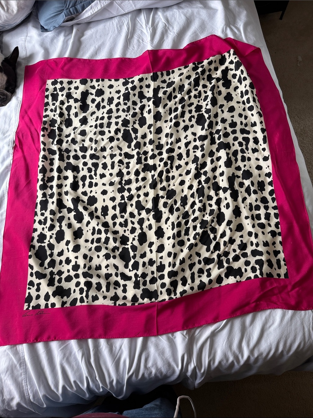 Anne Klein Hot Pink and Black & White Animal Print Silk Scarf